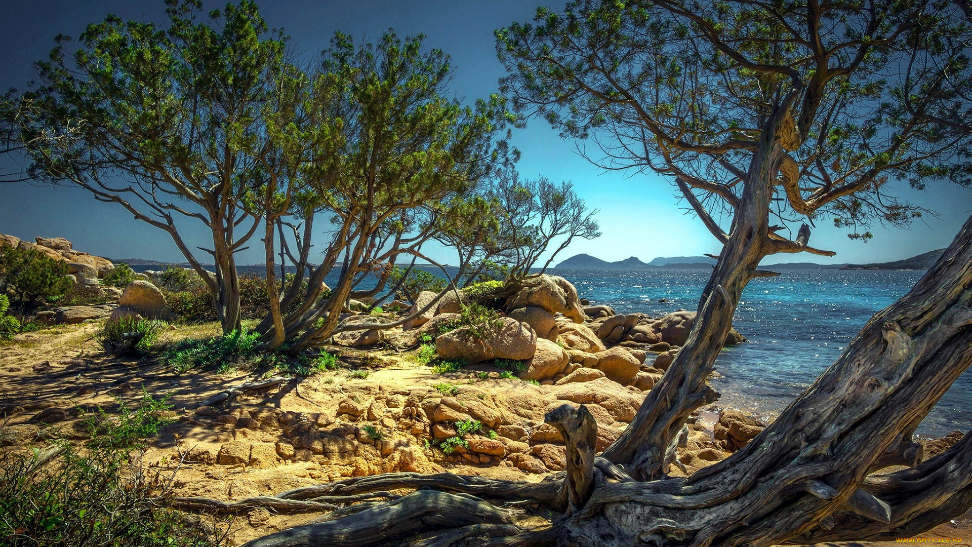the coast of olbia, sardinia island, italy, �������, ���������, the, coast, of, olbia, sardinia, island